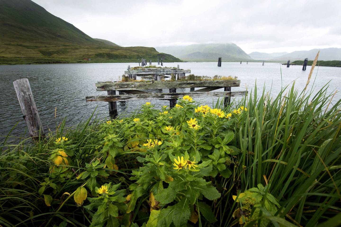 In this photo provided by the U.S. Fish and Wildlife Service, a remnant of World War II remains on Attu Island, Alaska, on Aug. 22, 2017.